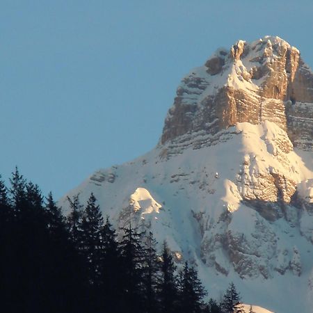 Affittacamere Pizzeria Marmolada Rocca Pietore Exterior foto